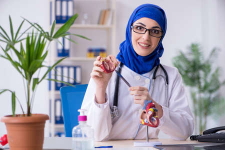 Arab female doctor working in the clinicの写真素材
