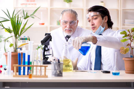 Two chemists working in the labの写真素材
