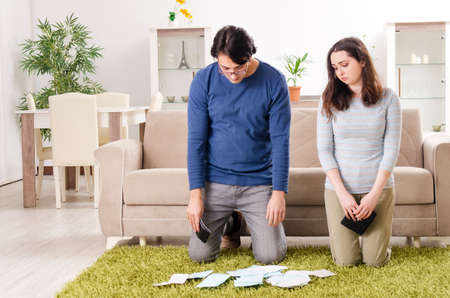 Young couple in budget planning concept