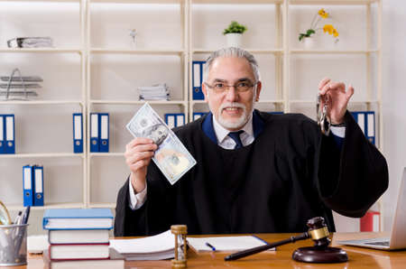 Aged lawyer working in the courthouseの写真素材