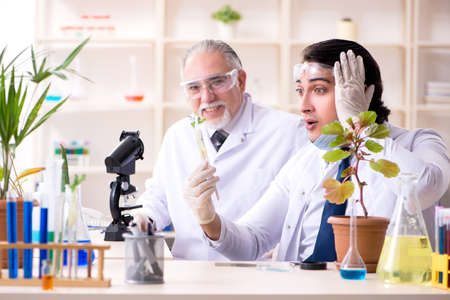 Two chemists working in the labの写真素材