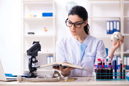 Young female archaeologist working in the labの写真素材