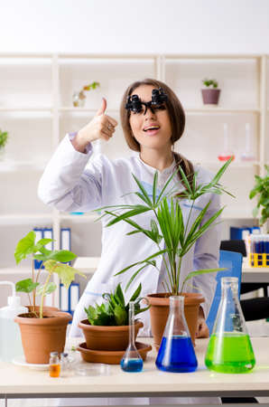 Young beautiful biotechnology chemist working in the labの写真素材