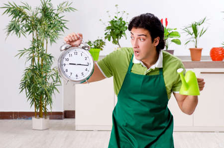 Young male gardener with plants indoorsの写真素材