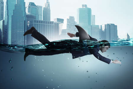 Businessman with shark fin swimming in waterの写真素材