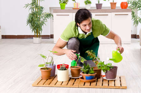 Young male gardener with plants indoorsの写真素材