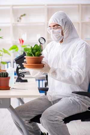 Biotechnology chemist working in labの写真素材