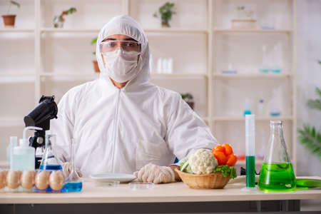 Scientist working in lab on GMO fruits and vegetablesの写真素材