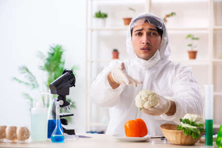 Scientist working in lab on GMO fruits and vegetablesの写真素材
