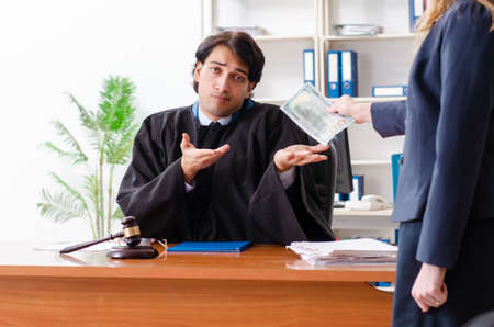 Young woman visiting male lawyerの写真素材