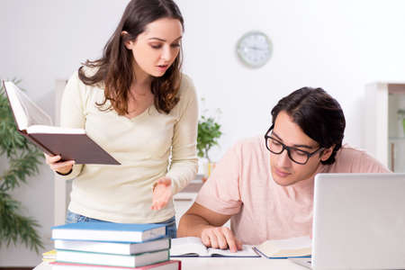 Students preparing for exam together at homeの写真素材
