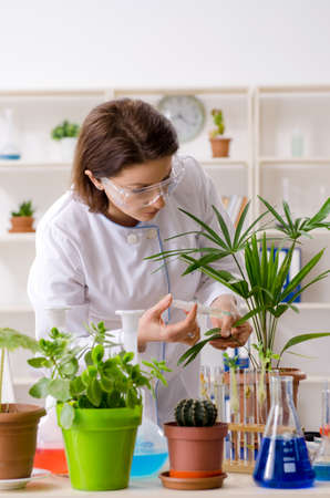 Old female biotechnology chemist working in the labの写真素材