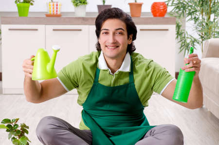 Young male gardener with plants indoorsの写真素材