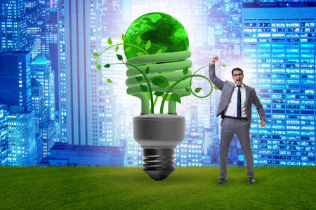 Concept of energy efficiency with lightbulbの写真素材