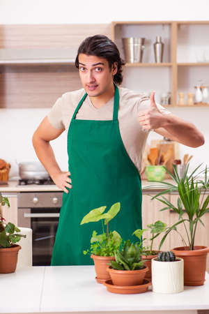 Young handsome man cultivating flowers at homeの写真素材