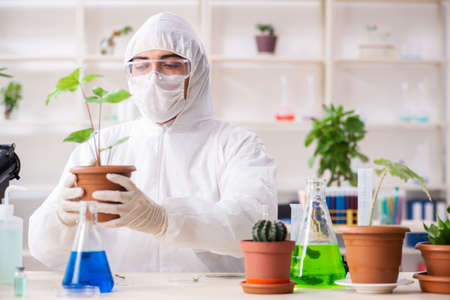 Biotechnology chemist working in labの写真素材