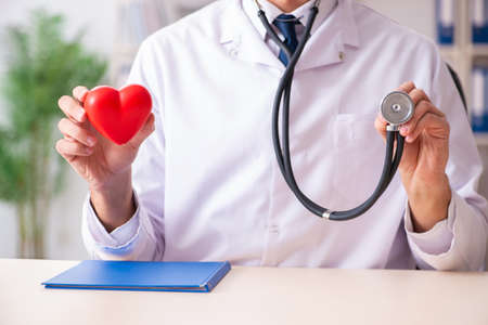 Male doctor cardiologist holding heart modelの写真素材