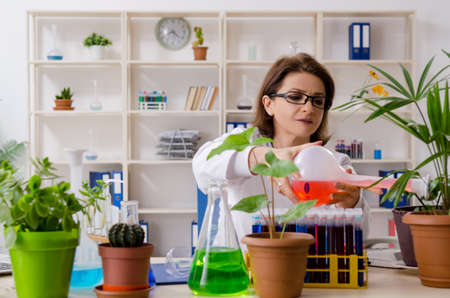 Old female biotechnology chemist working in the labの写真素材