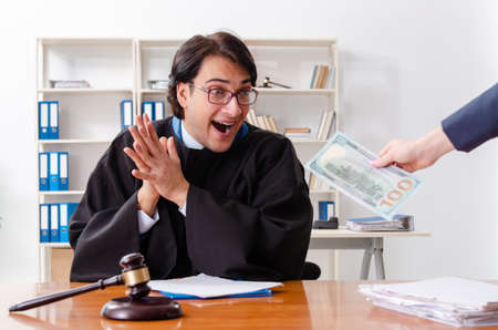 Young woman visiting male lawyer