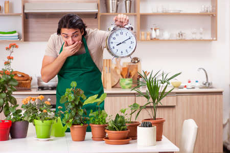 Young handsome man cultivating flowers at homeの写真素材