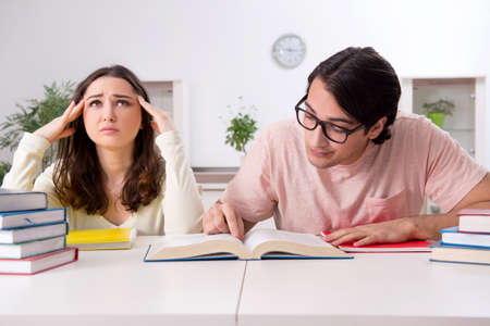 Students preparing for exam together at homeの写真素材