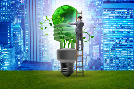 Concept of energy efficiency with lightbulbの写真素材