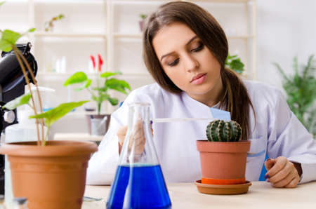 Young beautiful biotechnology chemist working in the labの写真素材