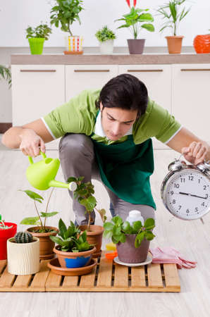 Young male gardener with plants indoorsの写真素材