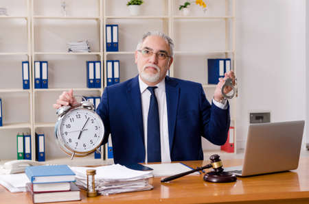 Aged lawyer working in the courthouseの写真素材