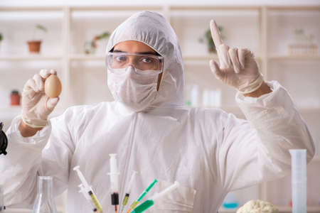 Scientist working in lab on GMO fruits and vegetablesの写真素材