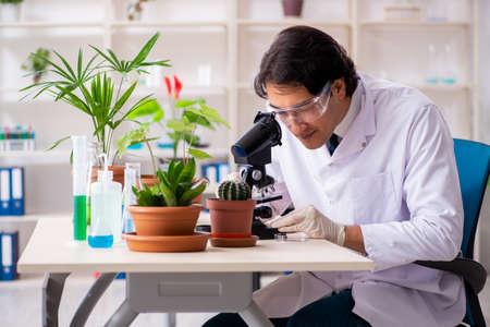 Biotechnology chemist working in labの写真素材