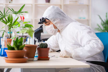 Biotechnology chemist working in labの写真素材
