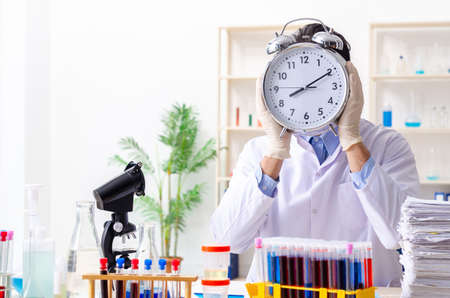 Young male chemist working in the labの写真素材