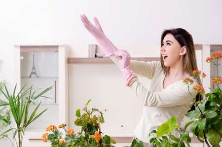 Young female gardener with plants indoorsの写真素材