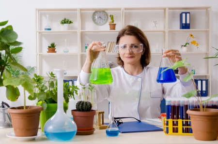 Old female biotechnology chemist working in the labの写真素材