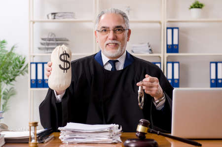 Aged lawyer working in the courthouse
