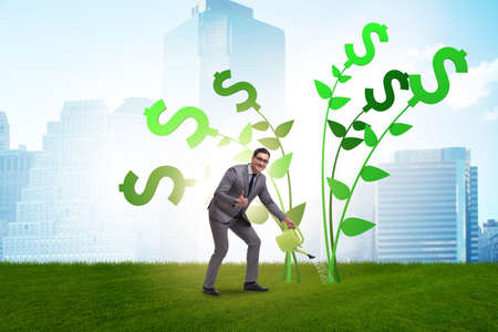 Money tree concept with businessman wateringの写真素材