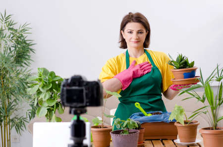 Female blogger explaining houseplants growingの写真素材