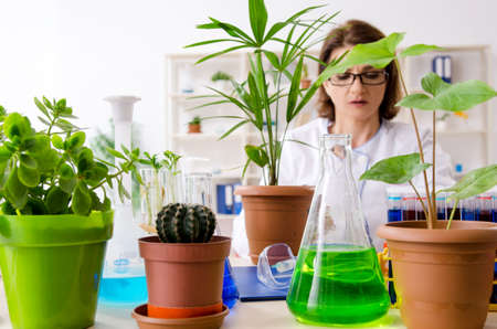 Old female biotechnology chemist working in the lab