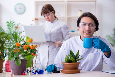 Two young botanist working in the labの写真素材