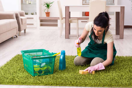Young female contractor doing houseworkの写真素材