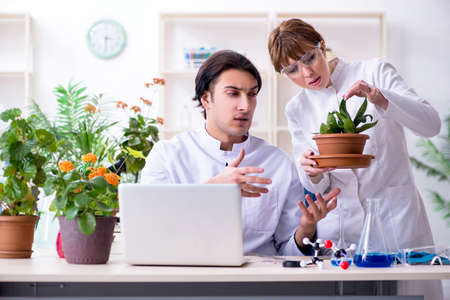 Two young botanist working in the labの写真素材