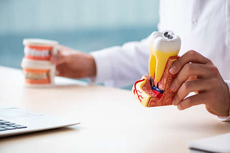 Male doctor stomatologist working in the clinic
