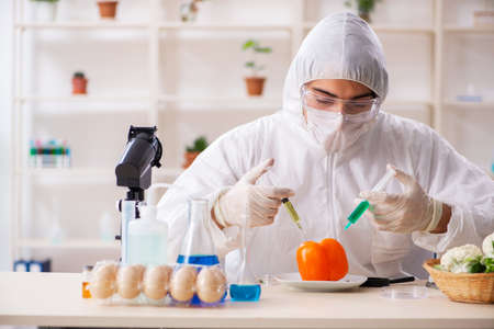 Scientist working in lab on GMO fruits and vegetablesの写真素材