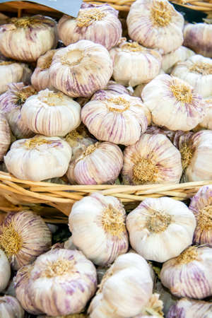 Garlic at the market display stallの写真素材