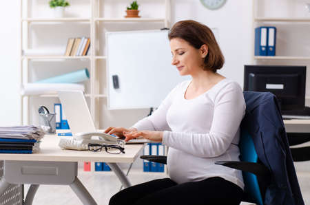 Experienced female employee working in the officeの写真素材