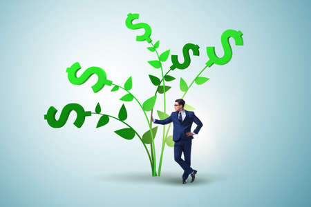 Money tree concept with businessman in growing profitsの写真素材
