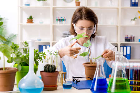 Old female biotechnology chemist working in the labの写真素材