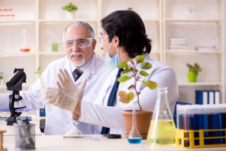 Two chemists working in the labの写真素材