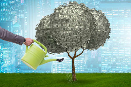 Businessman watering money tree in investment conceptの写真素材